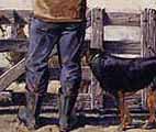 Dog Tucker by Barry Ross Smith